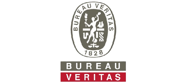 bv-logo WebP